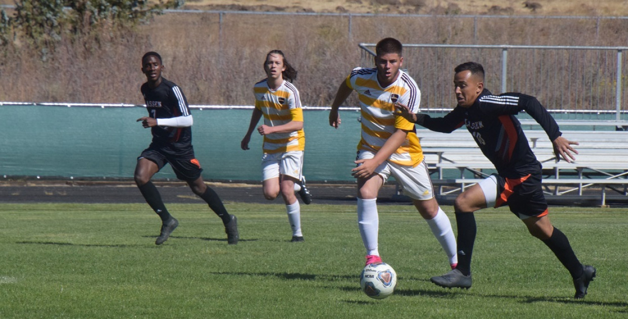 Stellar performance by Silva leads Cougars to a win at home
