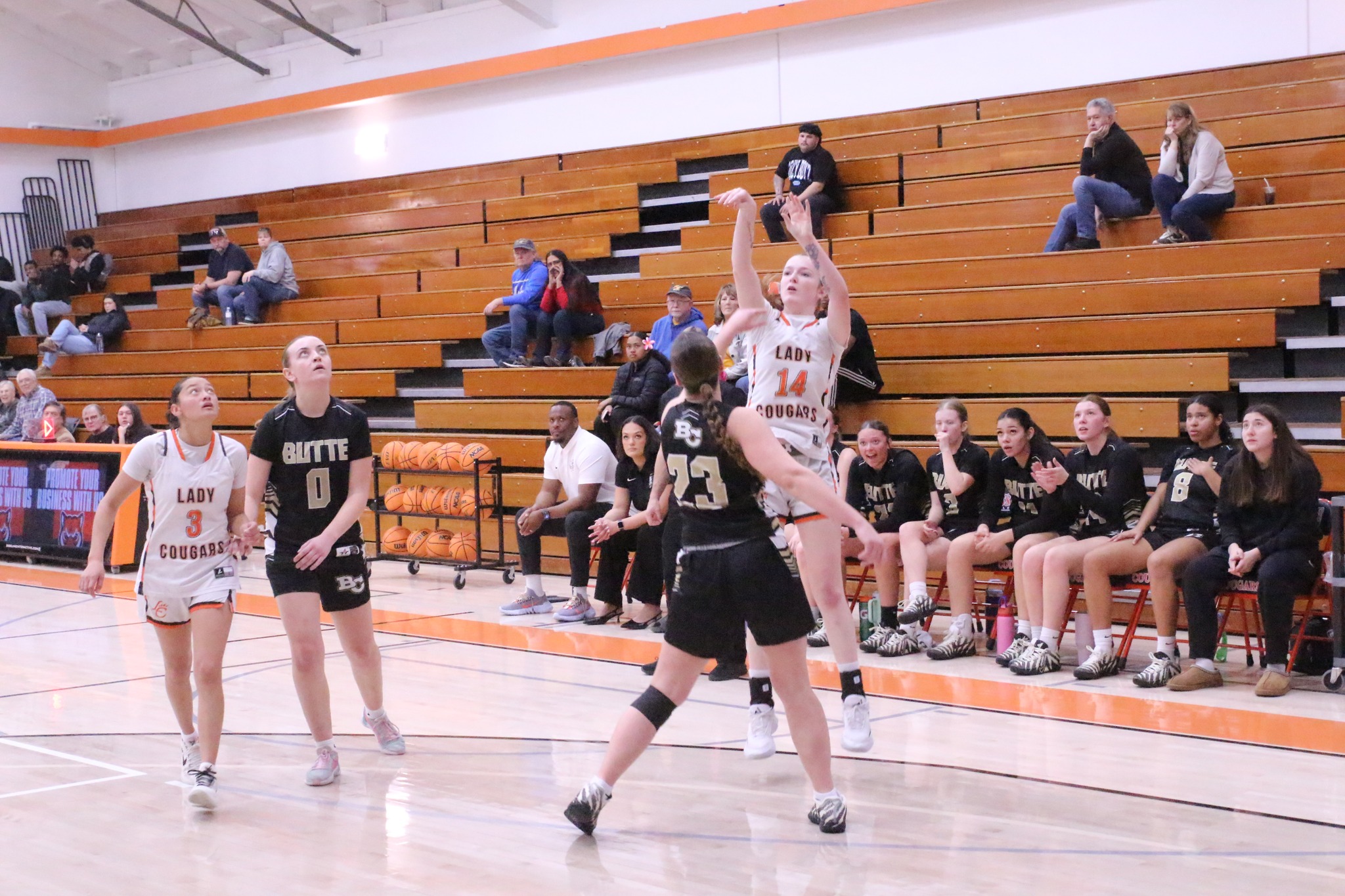 Cougars Battle but Fall Short Against Shasta, 63-59